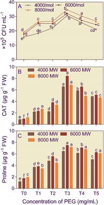 Drought tolerance of Aspergillus violaceofuscus and Bacillus licheniformis and their influence on tomato growth and potassium uptake in mica amended tropical soils under water-limiting conditions